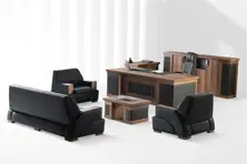 Executive Furniture
