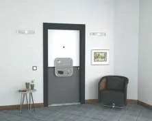 Steel Door Special Pixel