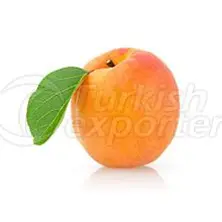 Fruits Apricot