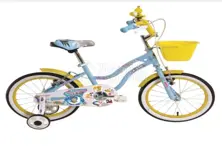 Dream Çocuk Bisikleti