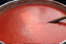 pasta de tomate