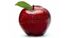 https://cdn.turkishexporter.com.tr/storage/resize/images/products/db024e38-53e0-481d-878b-200011c49b7a.jpg