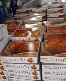 Dried Apricot Boxes 