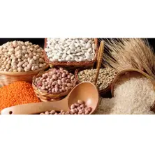 Cereals and Pulses 