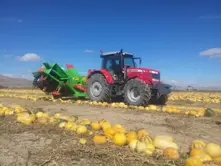 Pumpkin Seed Harvester