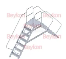 Industrial Dual Ladders