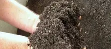 Organic Compost Mix