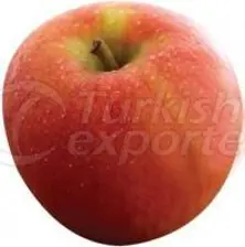 https://cdn.turkishexporter.com.tr/storage/resize/images/products/df81538e-4d0a-412d-a0a0-3a4a881c9851.jpg