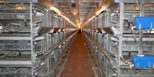 BATTERY CAGE SYSTEMS