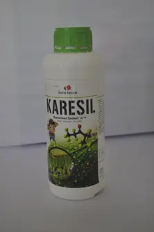 Potassium Silicate KARESIL