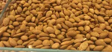 Apricot Kernel Nuts Roasted or Naturel 