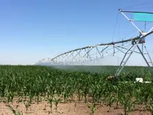 irrigation lateral move pivot