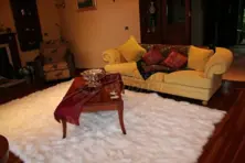 Safari Carpet S-127