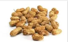Roasted Peanut In Shell