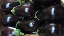 Eggplant Cyrstal