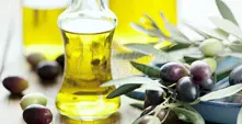 Olive-Olive Oil
