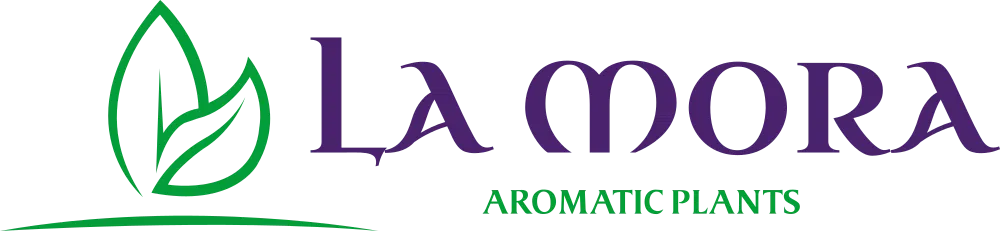 LA MORA AROMATIC PLANTS