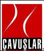 CAVUSLAR DERIN KUYU SU POMPALARI A. S.