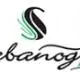 SABANOGLU ENTEGRE ET SAN. VE TIC. LTD. STI.