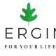 ENERGİMA ELEKTRİK ELEKTRONİK LTD. STİ.