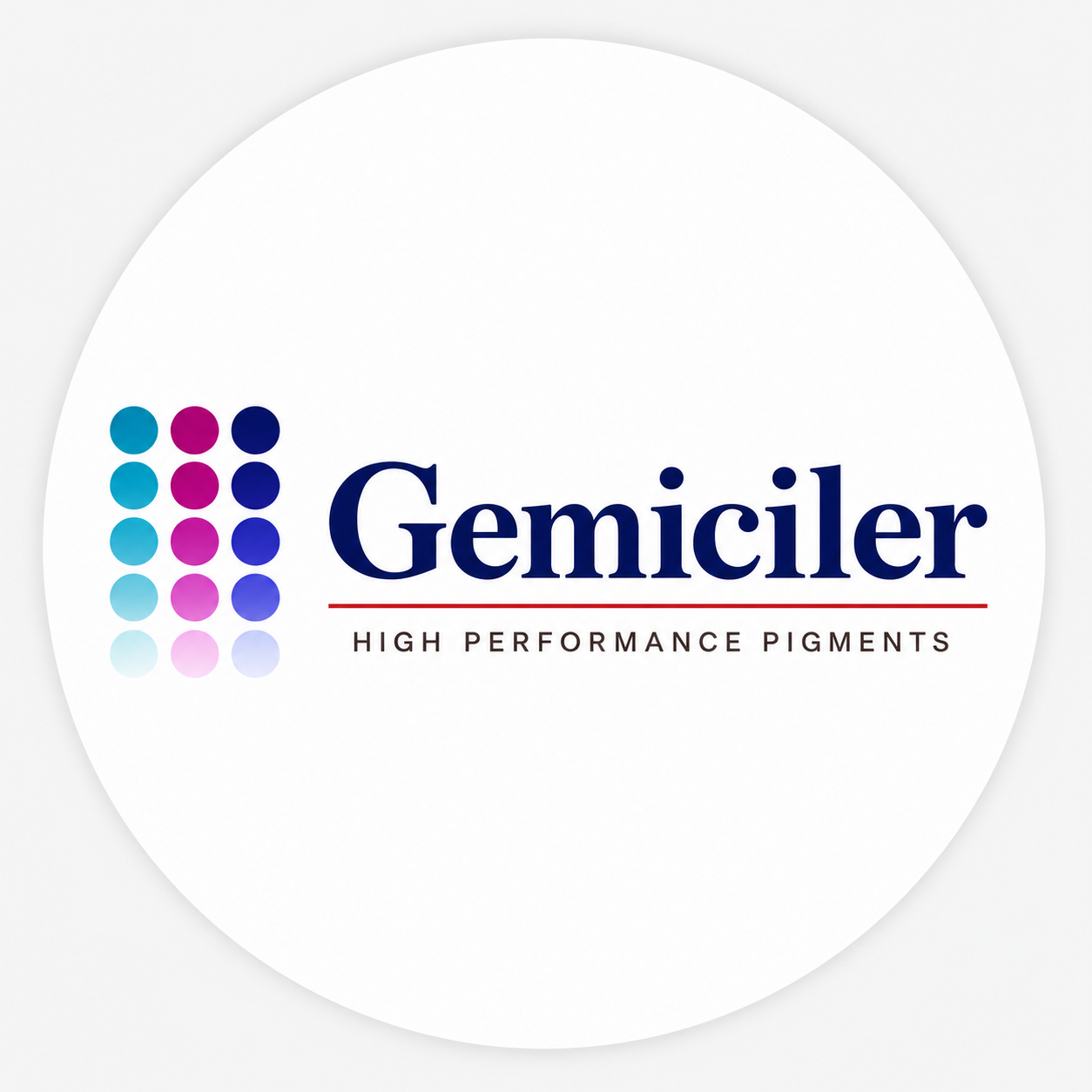 GEMİCİLER BOYA KİMYEVİ MADDELER SAN. VE TİC. A. S.