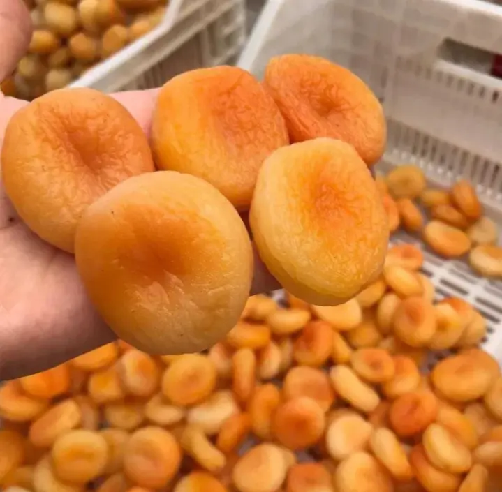 DRIED APRICOTS Product