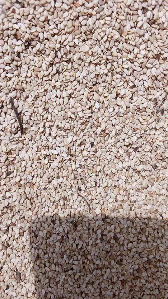 Sesame seed Product